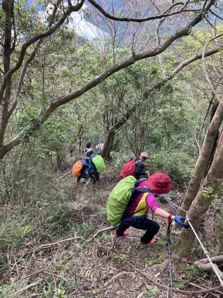 鱷魚頭景觀步道2729213