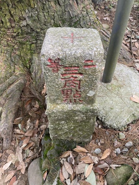 頭科山(大坑4號步道)3081118