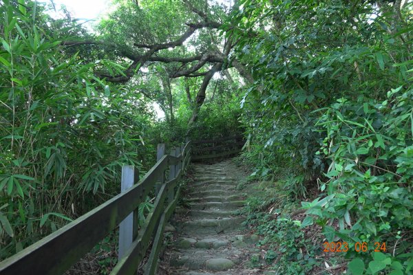 彰化 社頭 清水岩中央嶺造林步道2198389