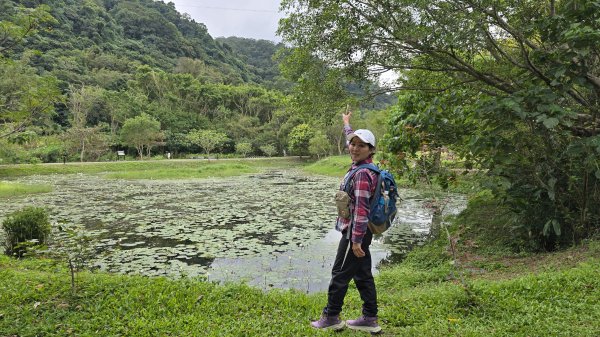2024月眉落羽松季絕美登場，季節限定，免入園費免停車費，怎麼拍都美，不用出國就能拍繽紛大景。2668333