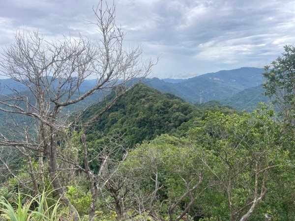 微笑山⛰️線-大棟-二格山-五分山-天上山-鳶山💎12條步道完成💙2834177