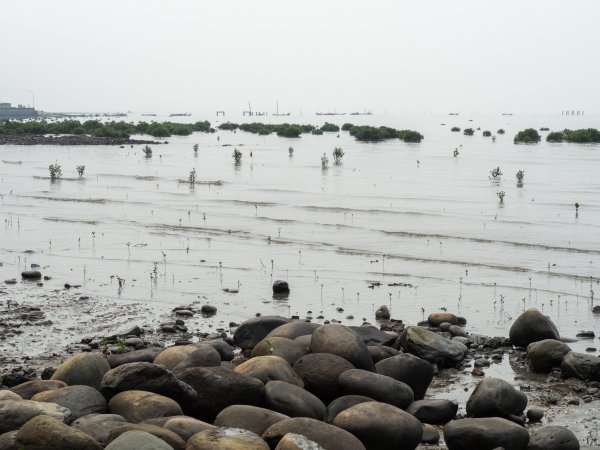 芳苑海空步道2961220