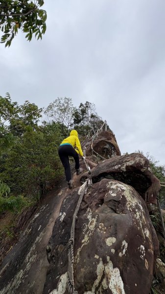 迎新（2026元旦2975583