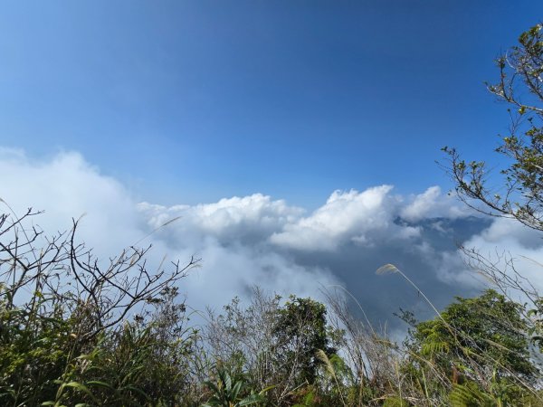 東卯山／東卯山西峰+賞山櫻花2715996