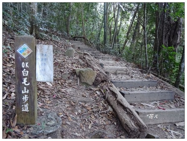 谷關七雄/白毛山802577