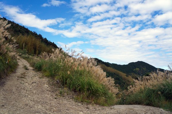 五峰鳥嘴山