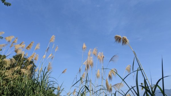 馬那邦山步道(珠湖登山口上)1585916