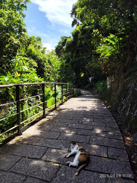 【臺北大縱走 7】2-1 樟山寺→樟樹步道→彩雲亭→相思炭窯→貓纜貓空站→指南路三段40巷2881789