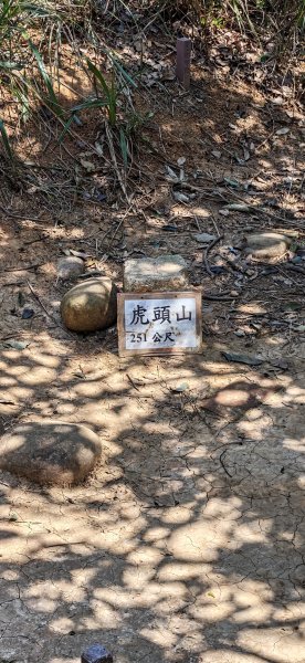 2026-0315 桃園虎頭山3015938