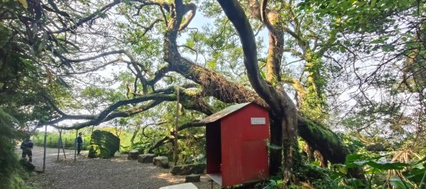 福源山步道2730328