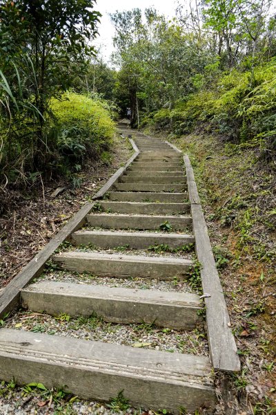 大崙頭尾山｜小百岳2756488