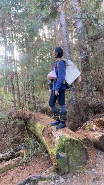 1/1元旦雪主東2681421