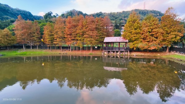 #花卉試驗中心 #永公路500巷 #平菁街42巷 #原住民公園 #士林官邸 1/42979269