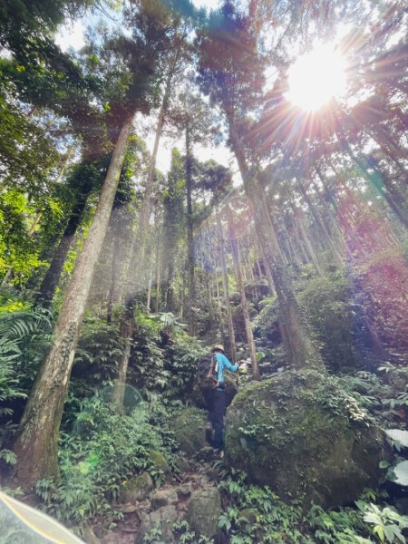 1130928五指山｜拇指峰-食指峰-中指峰2612398