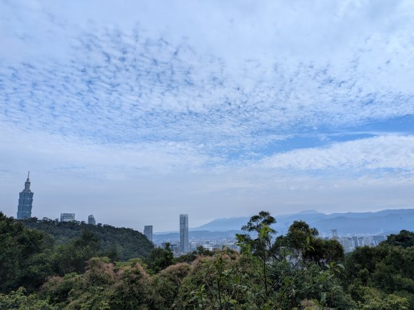 2025-06-01 五進五出九五峰2803006