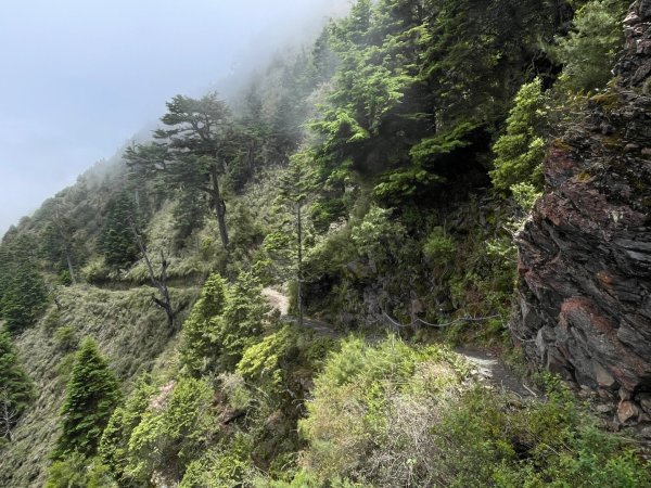 玉山主北 2025 06/07～06/082806366