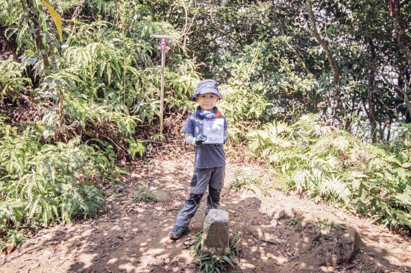 鳥嘴含煙-桃園大溪金面山1463115