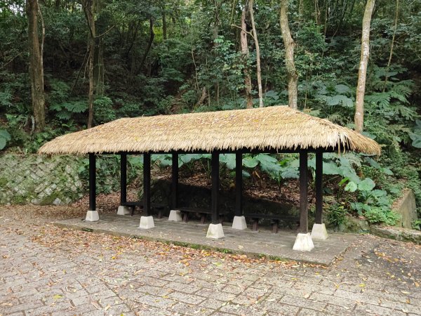 臺北大縱走第七段&第八段3019188