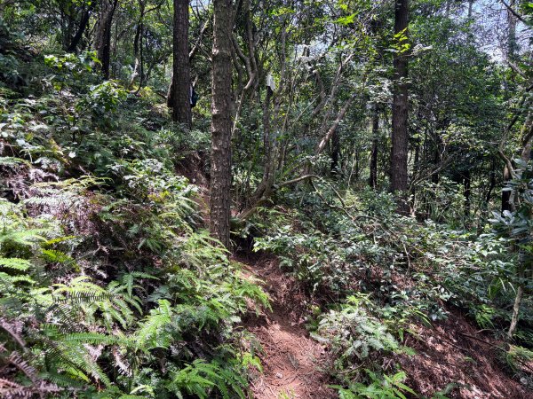 三段崎古道2835530