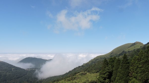 再見陽明山雲海1178642