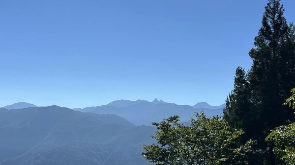 大板根+北坑山+東洗水山2551670