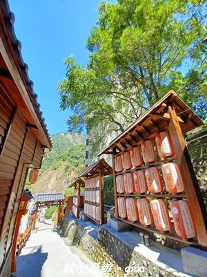 【台中和平】山林靜謐時光。 捎來步道2989201