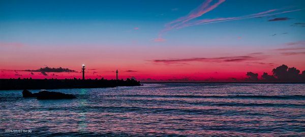 天龍國阿伯的日常-雲山水花鳥蝶  #龜島曉日  #牡丹蓮 #香水蓮  #手機拍攝 賞蝶趣 7/2&32826044