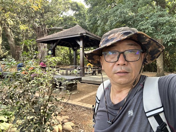 龍過脈森林步道2969785