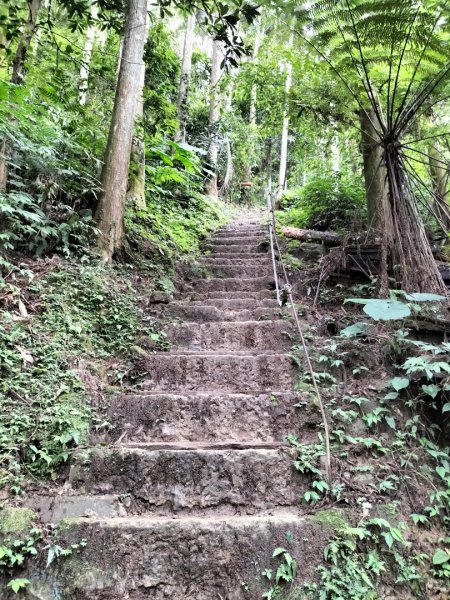 五指山登山步道2269240