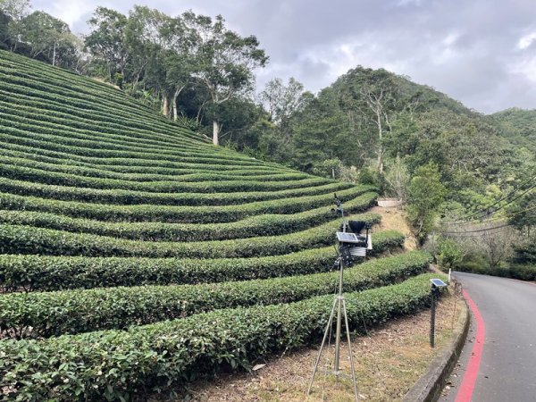 千島湖周邊步道2936041