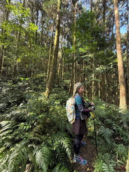 烏來大桶山野餐輕鬆愜意行2630301