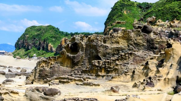 和平島(含阿拉寶灣)2821356