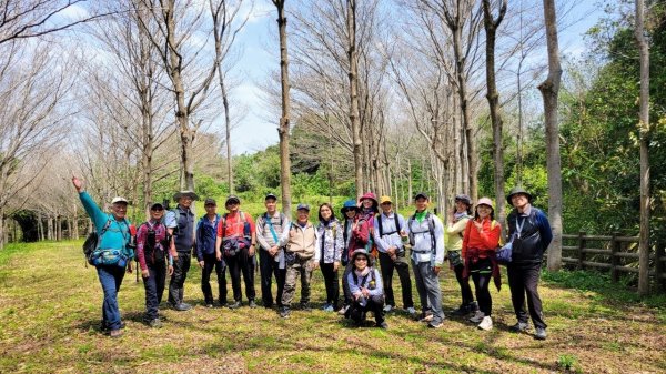 徒步鄉鎮, 崎頂子母隧道-南十八尖山-青草山-日出神社遺址