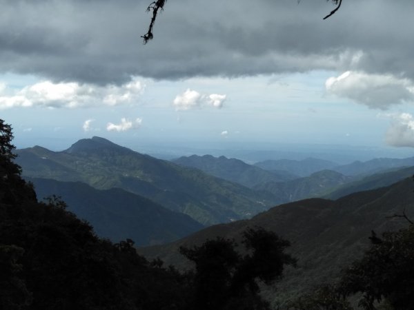 新竹檜山巨木群步道982187