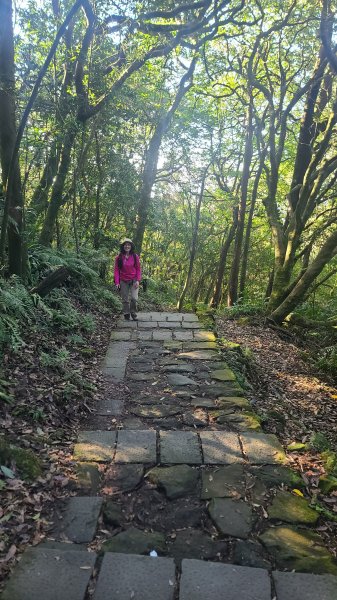 2026-0213 苗圃-凱達格蘭山-七星錐-七星山南峰-小油坑-竹子湖-水車寮步道-湖田猴崁步道-3005645