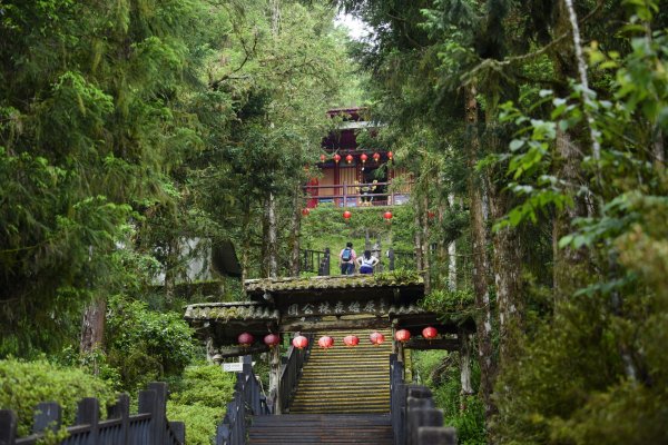 【新聞】太平山國家森林遊樂區 2022年春節旅遊攻略