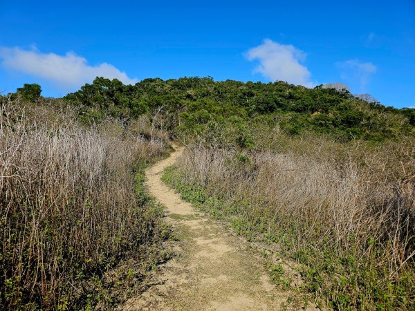 大山母山-小百岳#81-屏東縣恆春鎮2731510