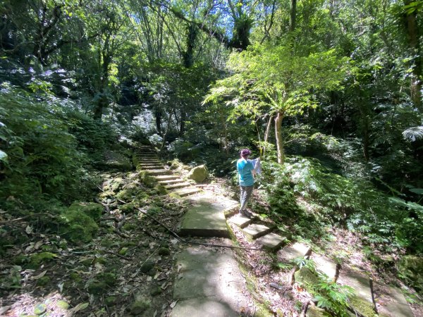 2025微笑山線大縱走尋寶集章任務-Ep.11【五分山系】平溪小黃山段｜慈母峰 × 孝子山2908901