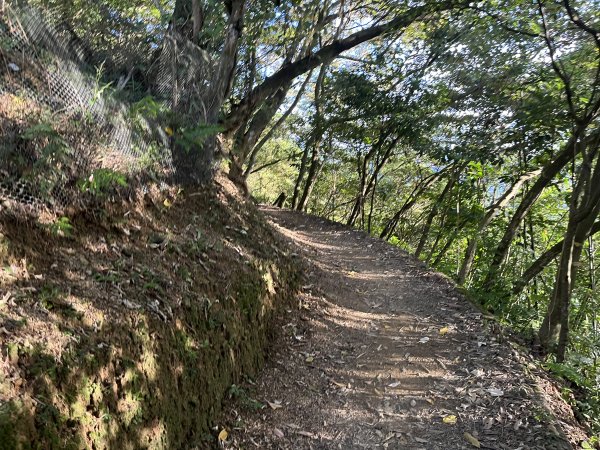 [山頂鳥40周年會員大縱走-08/15] 2024_0715 銀河洞越嶺登山步道2556752