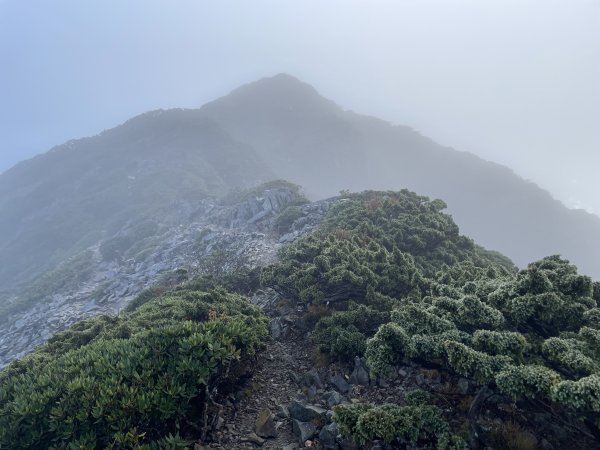 一日小O聖 2024 11/222865488