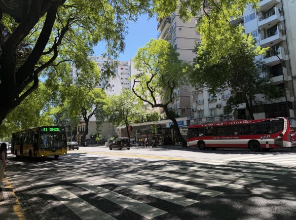 [紐約馬之行-59] 2025_1114 卡洛斯·泰斯植物園-上2953897