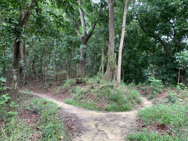 20250906台南糞箕湖山2881424