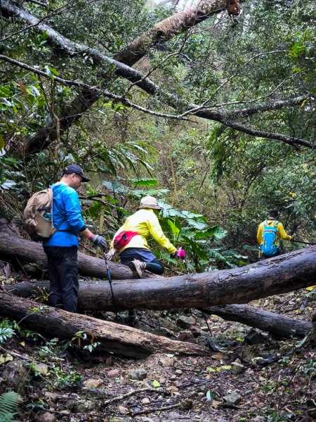 2025-03-08 汶水三山：金童山、汶水山、玉女山 連走2736520