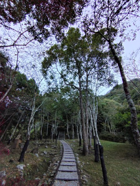 佳保台山-八仙山2910246