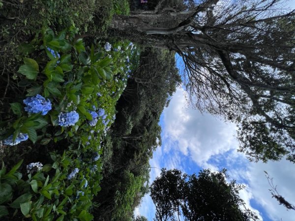 二訪硬漢嶺1745785