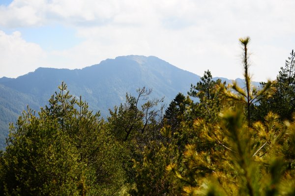 武法奈尾山天巒池872497