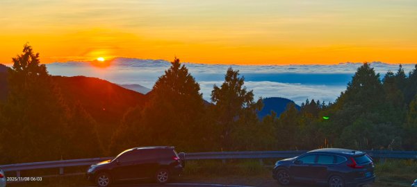 #太平山 #望洋山 #觀雲步道 #日出 #雲海 11/82931218