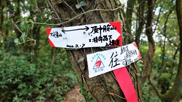 悠遊陽明山的後花園冷水大山大尖後山三重橋山2083727