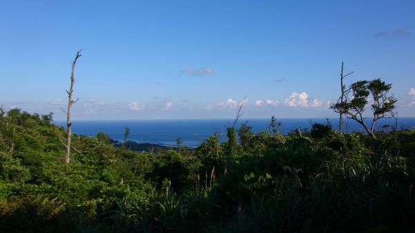 綠島過山古道+過山步道382892