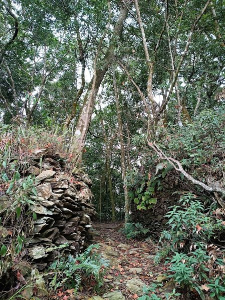 2025 12/27 鳴海山2970996